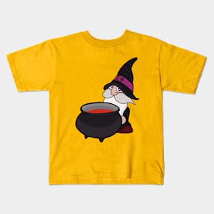 The Wizard and the Cauldron Kids T-Shirt